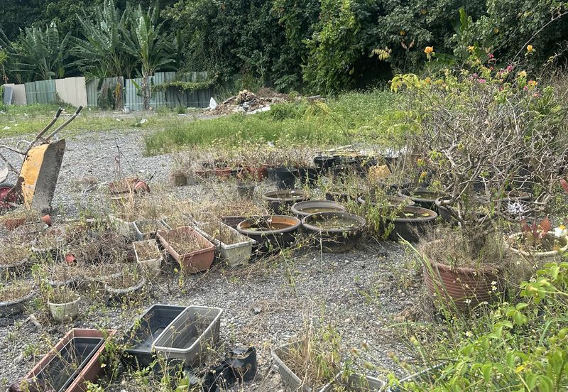 Jalan Bukit Kemuning