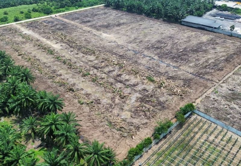 Jenjarom Industrial Park