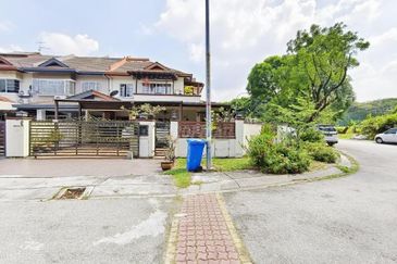 Anggerik Doritis @ Kota Kemuning