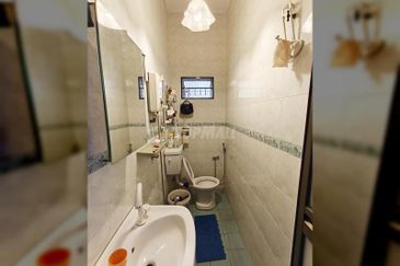 Anggerik Doritis @ Kota Kemuning