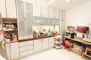 Anggerik Doritis @ Kota Kemuning