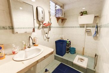 Anggerik Doritis @ Kota Kemuning