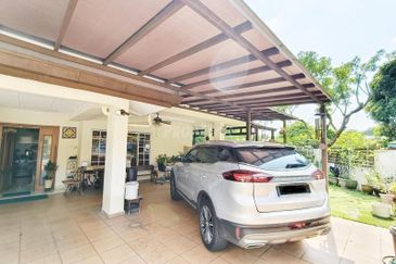 Anggerik Doritis @ Kota Kemuning