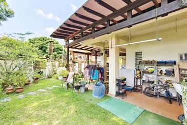 Anggerik Doritis @ Kota Kemuning