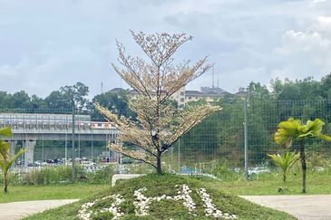 Residensi Hijauan Lumayan