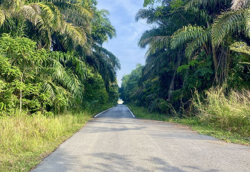 Mukim Labu Sepang - Bungalow Lot for Sale (Limited Time Offer!)