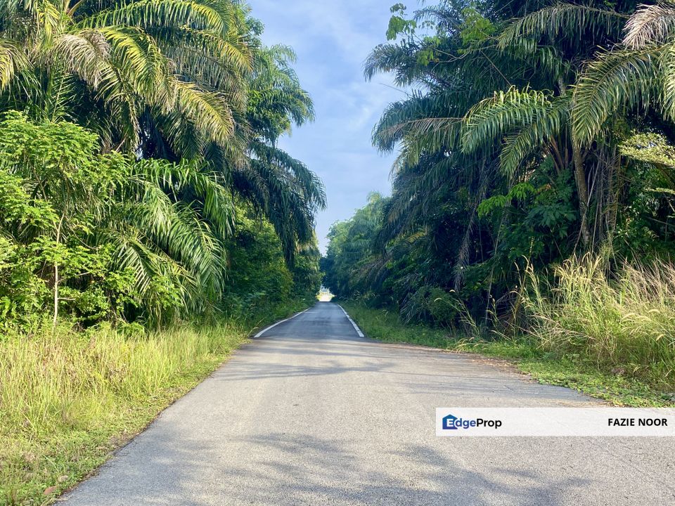 Mukim Labu Sepang - Bungalow Lot for Sale (Limited Time Offer!), Selangor, Sepang