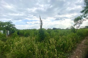 Land for Sale Kg Johan Setia Klang