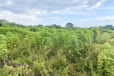 Land for Sale Kg Johan Setia Klang