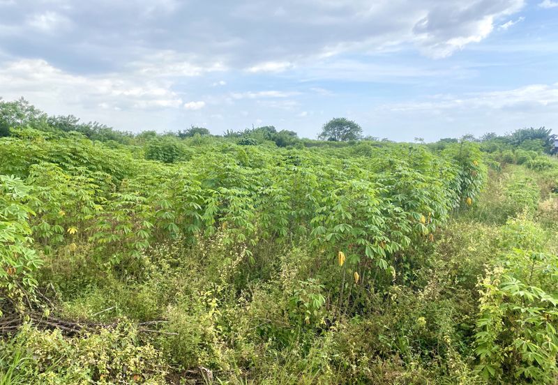 Land for Sale Kg Johan Setia Klang