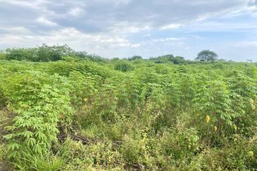 Land for Sale Kg Johan Setia Klang