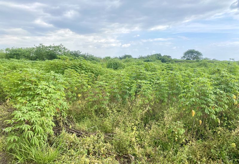 Land for Sale Kg Johan Setia Klang