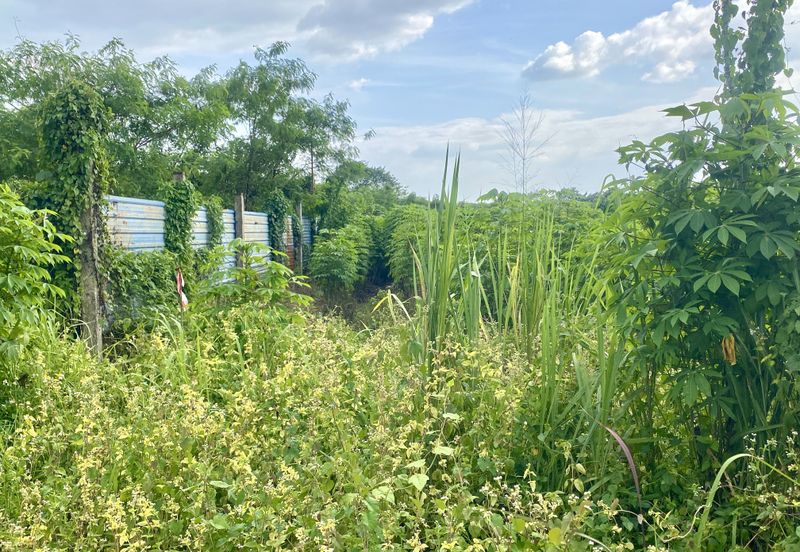 Land for Sale Kg Johan Setia Klang