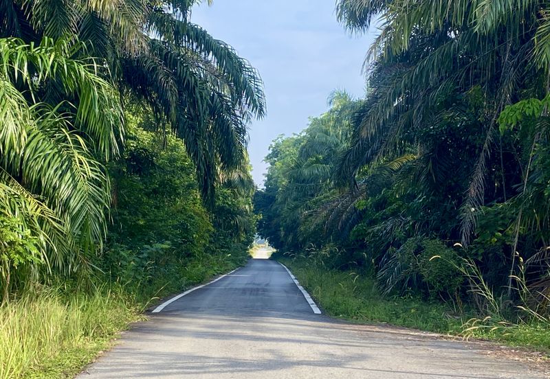 Bungalow Lot for Sale in Sepang