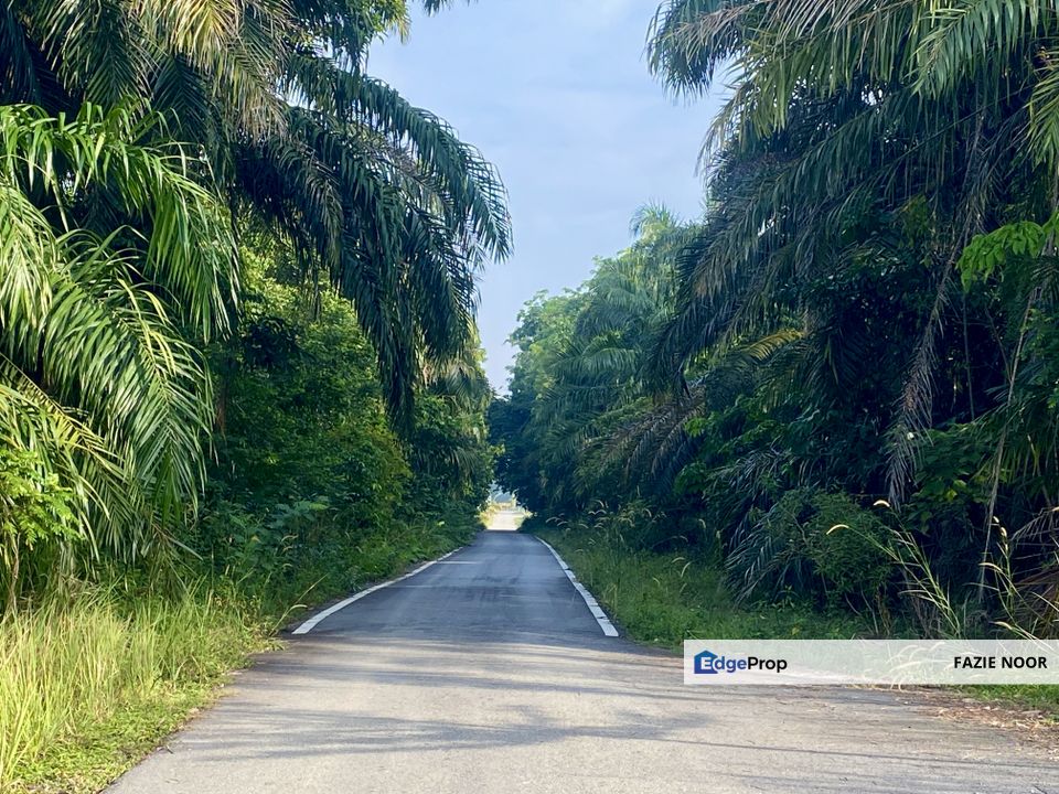 Mukim Labu Sepang - Bungalow Lot for Sale, Selangor, Sepang