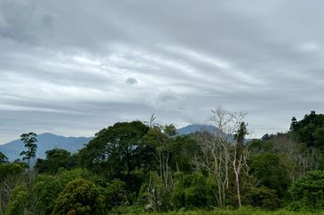 Bungalow Lot Berjaya Hills Resort Bukit Tinggi For Sale