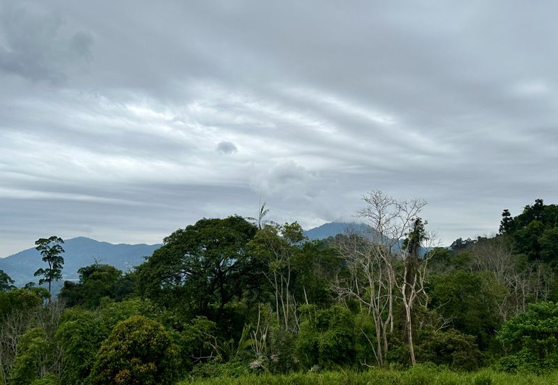 Bungalow Lot Berjaya Hills Resort Bukit Tinggi For Sale