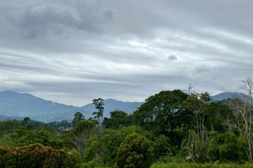 Bungalow Lot Berjaya Hills Resort Bukit Tinggi For Sale