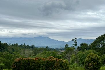 Bungalow Lot Berjaya Hills Resort Bukit Tinggi For Sale