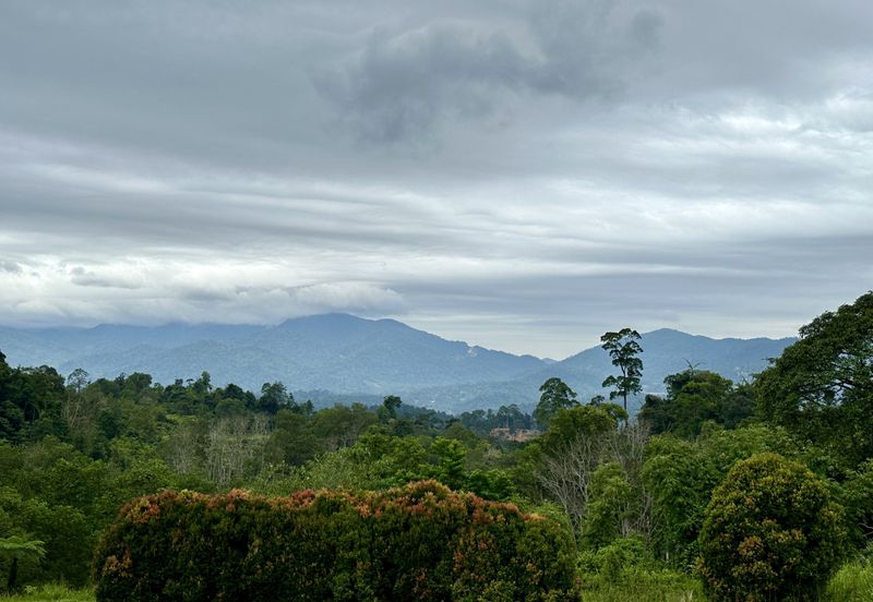 Bungalow Lot Berjaya Hills Resort Bukit Tinggi For Sale