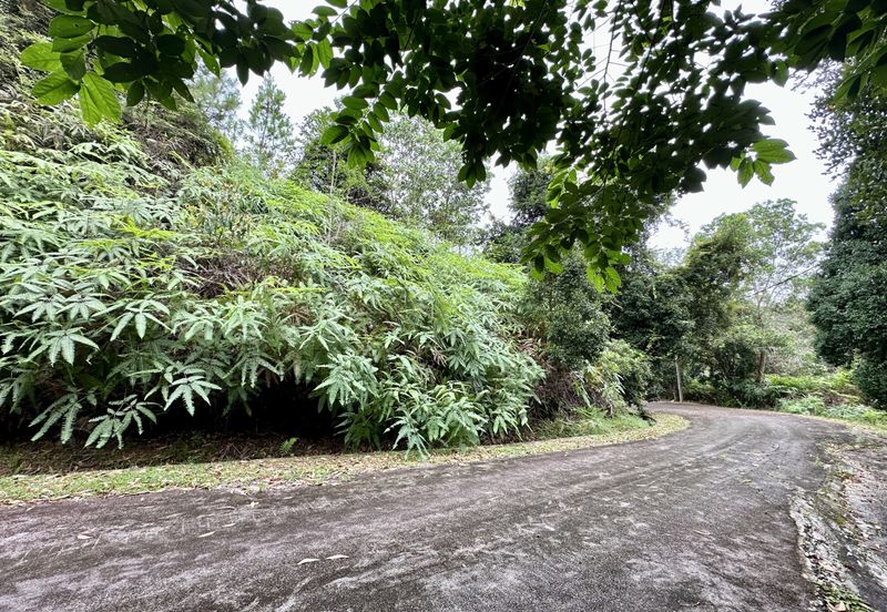 Bungalow Lot Berjaya Hills Resort Bukit Tinggi For Sale