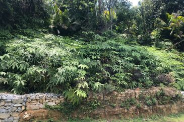 Exclusive Bungalow Land for Sale @ Kayangan Heights Shah Alam