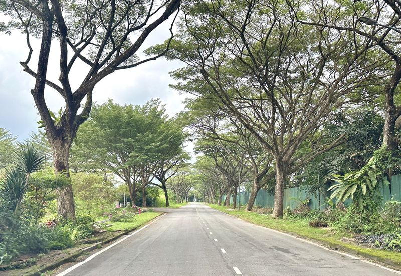 Monterez Golf & Country Club