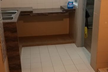 Evergreen Park Acorn and Hazel