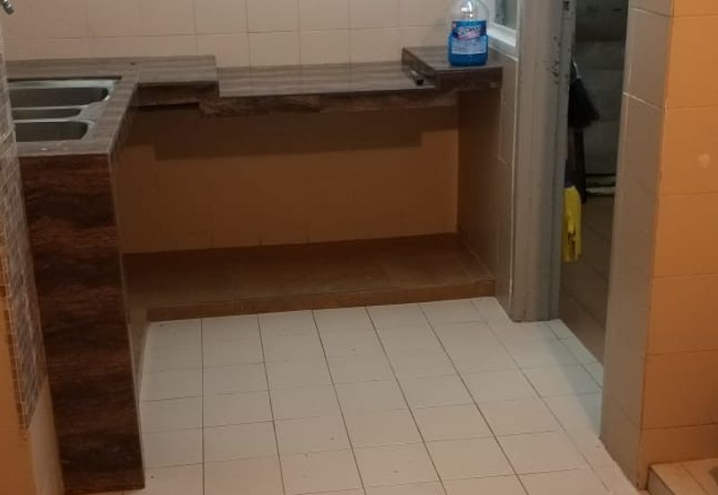 Evergreen Park Acorn and Hazel