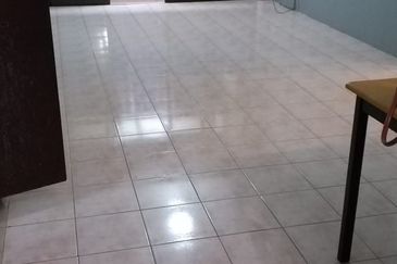 Evergreen Park Acorn and Hazel