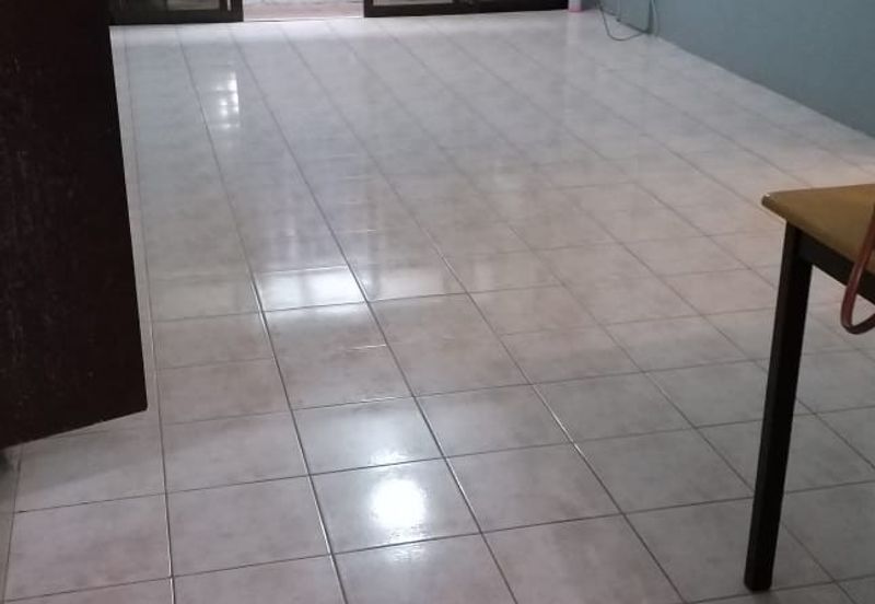 Evergreen Park Acorn and Hazel