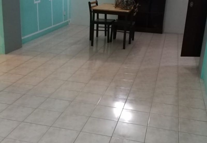 Evergreen Park Acorn and Hazel