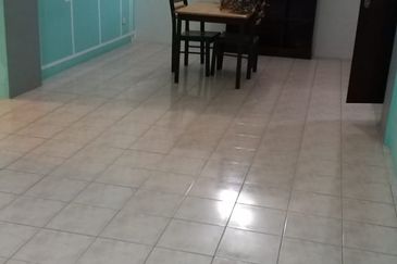 Evergreen Park Acorn and Hazel