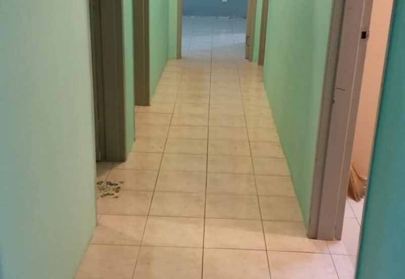 Evergreen Park Acorn and Hazel