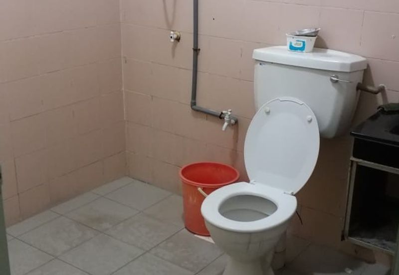 Evergreen Park Acorn and Hazel