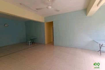 Evergreen Park Cypress