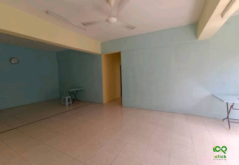 Evergreen Park Cypress