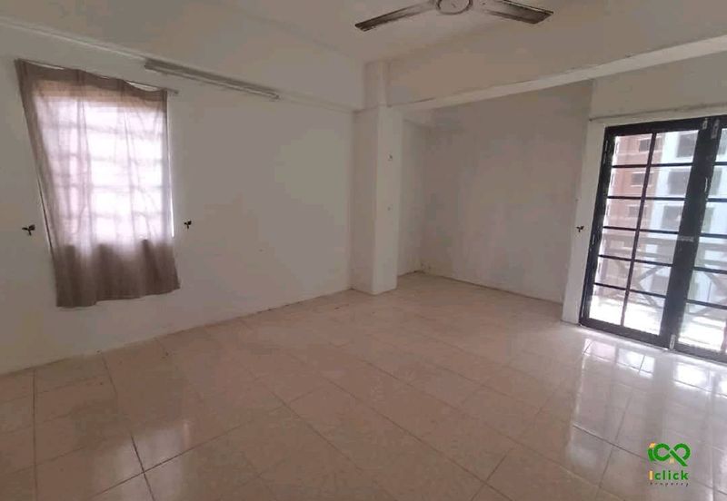 Evergreen Park Cypress