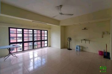 Evergreen Park Cypress