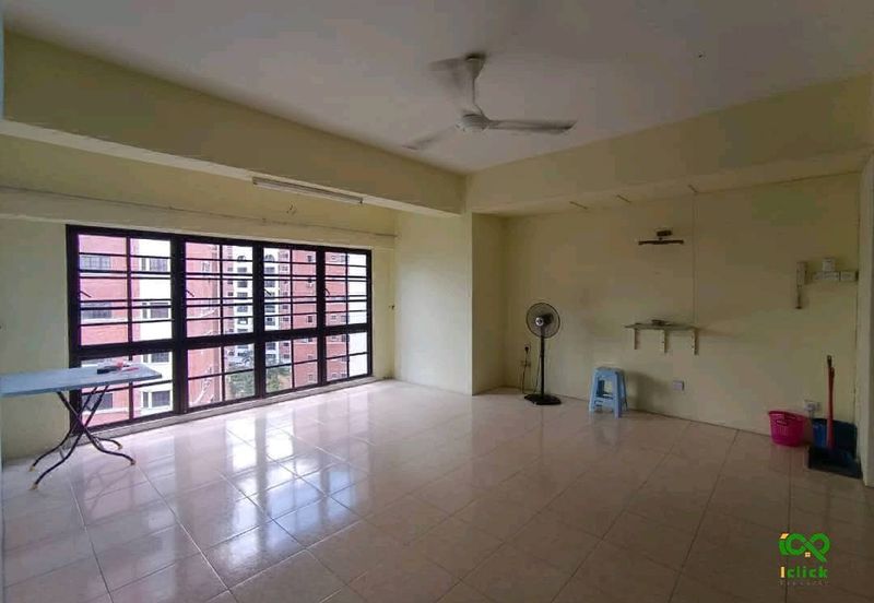 Evergreen Park Cypress