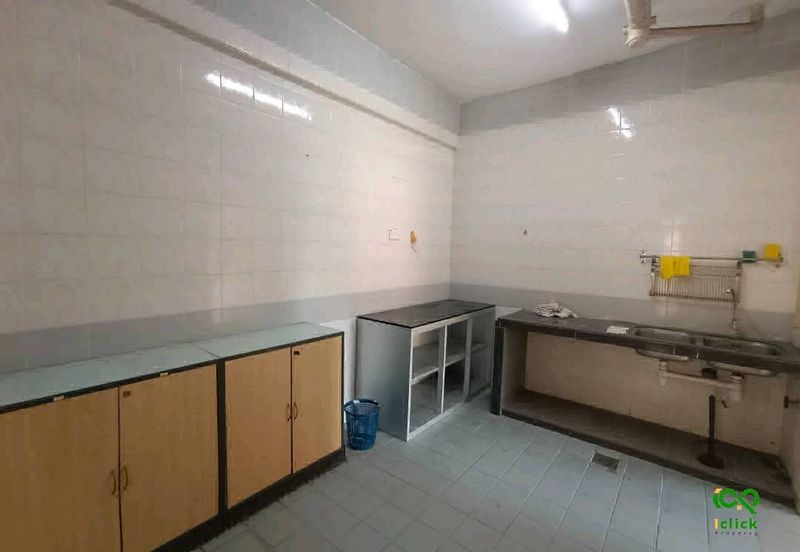 Evergreen Park Cypress