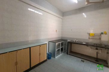 Evergreen Park Cypress