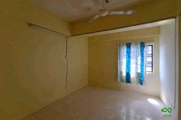 Evergreen Park Cypress