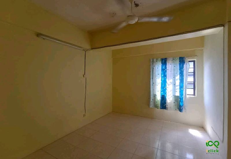 Evergreen Park Cypress