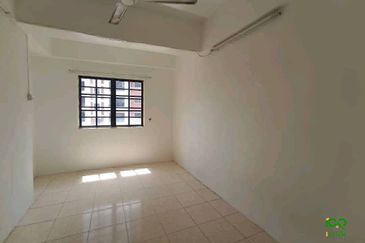 Evergreen Park Cypress