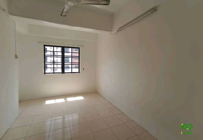 Evergreen Park Cypress