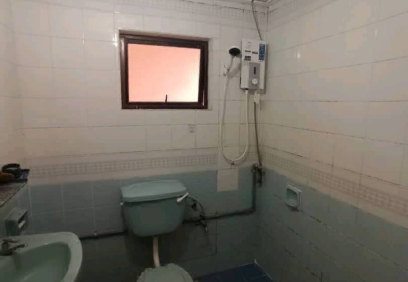 Evergreen Park Cypress