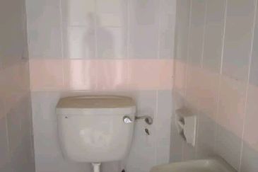 Evergreen Park Cypress