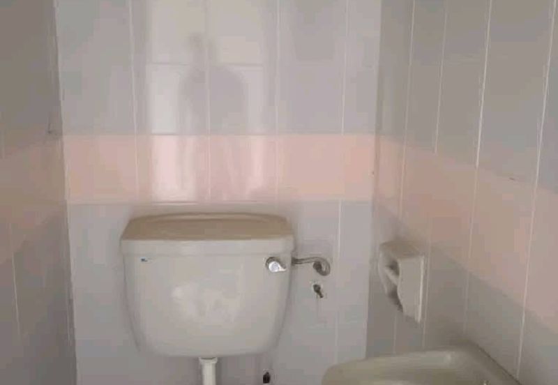 Evergreen Park Cypress