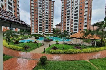 Evergreen Park Scot Pine